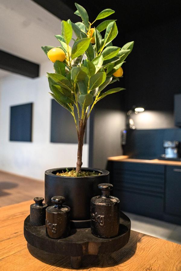 ויסבאדן Design Loft - 200Qm2 - Heimkino - Bestlage - Parkplatz מראה חיצוני תמונה